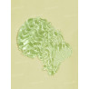 Jelly Wow Hydrating Lip Oil-Green Apple Envy