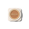 Skin-Focus High Coverage Powder Foundation