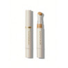 Complexion Boost Concealer